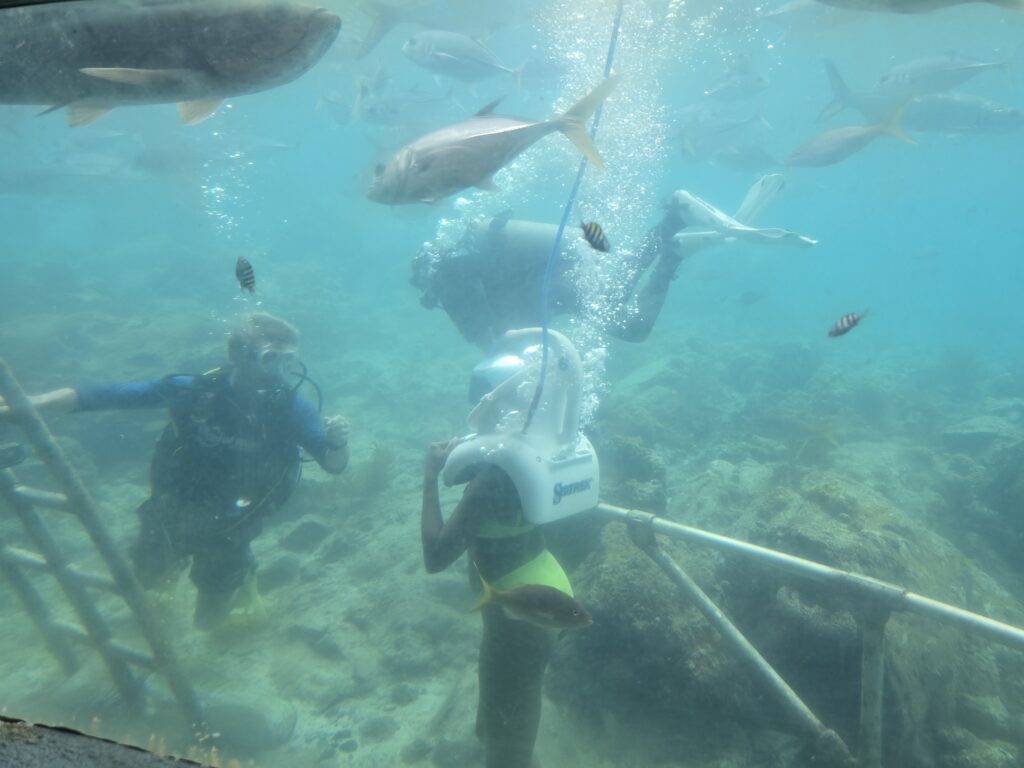 Walk underwater with Sea Trek or swim with SNUBA at Coral World Ocean Park.