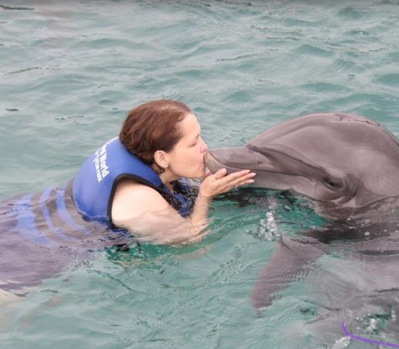 Swim with the Dolphins at Coral World Ocean Park